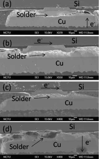 Fig. 3. Cross-sectional SEM images showing the microstructure of the failed sol-