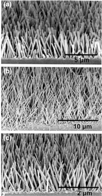 Figure 3. VLS growth process mechanism for, (a) undoped, (b) 0.1,