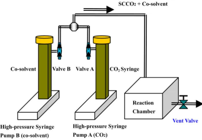 Fig. 1 shows basic components of an SCCO 2  system. 