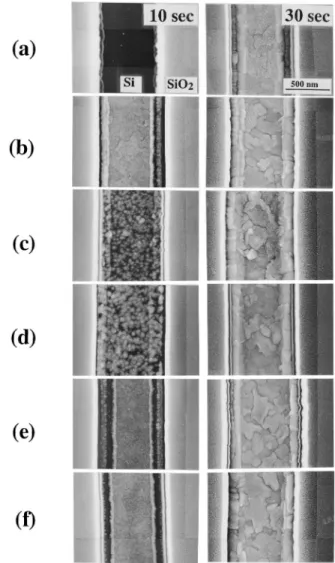 Figure 1 depicts the Si substrate surface after various pre-