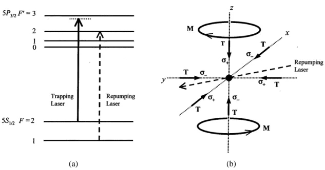 FIG. 1. (a) The diagram of the 87 Rb energy levels. (b) The scheme of the experiment. T denotes the trapping beam and M denotes the anti-Helmholtz coil