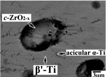 Fig. 4. Backscattered electron image of reaction layer ‘‘II’’ at the in- in-terface between Ti and 10Y90Z after reaction at 17001C for 10 min.