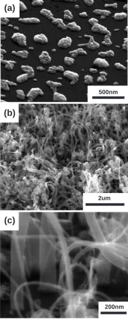 Fig. 1. SEM images. (a) The islands were induced by 10-min hydrogen plasma treatment, (b) 10-min hydrogen plasma treatment and synthesis of carbon fibers, (c) the various diameters of tubular structures including carbon fibers and few carbon nanotubes.