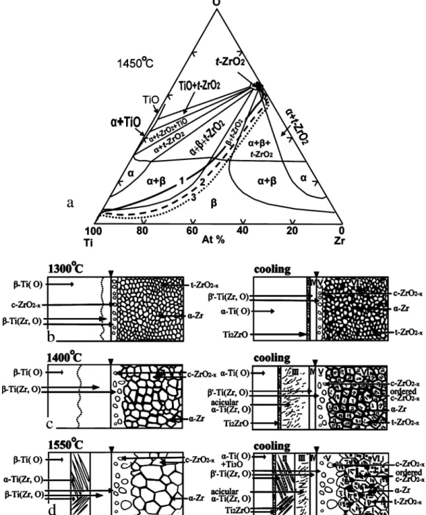 Fig. 7. Schematic diagrams showing the microstructural evolution and diffusion paths of the Ti/ZrO 2 diffusion couple annealed at various tempera-