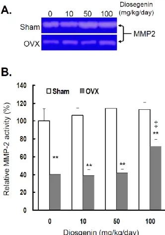 Figure  3.  Comparisons  of  MMP-2  gene  expression  be-