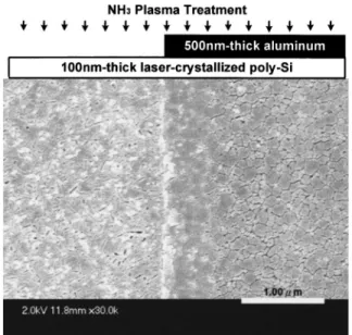 FIG. 3. SEM photograph of an excimer laser-crystallized poly-Si film with and without NH 3 plasma treatment after Secco etching
