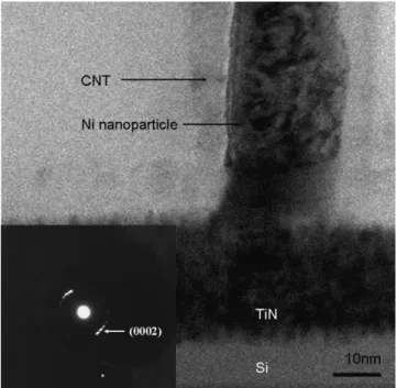 Fig. 5. TEM image of CNT synthesized at the H 2 plasma pretreatment flow rate