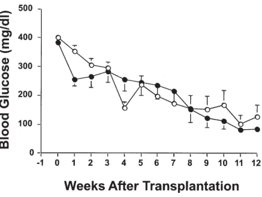 Fig 1. Evolution of blood glu- glu-cose in diabetic recipients  trans-planted with 2000 NPCCs  iso-lated from 1- to 3-day-old (open circle) and 1-month-old (closed circle) pigs