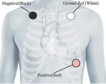 Figure 2 shows the strategy for analyzing the CRPS. The core scheme was the estimate of the instantaneous phase based on the Hilbert–Huang transform (HHT) approach