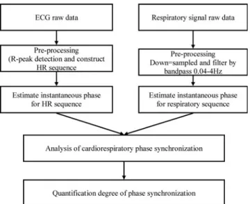 FIG. 2. Block diagram for the strategy for analyzing the cardiorespiratory phase synchronization