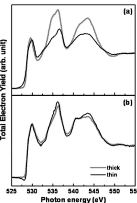 FIG. 4. O K-edge XANES spectra of 共a兲 LCMO and 共b兲 LBMO films taken at room temperature in the total electron yield mode.