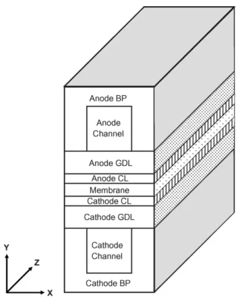 Fig. 1. Schematic structure of PEMFC and computational domain.