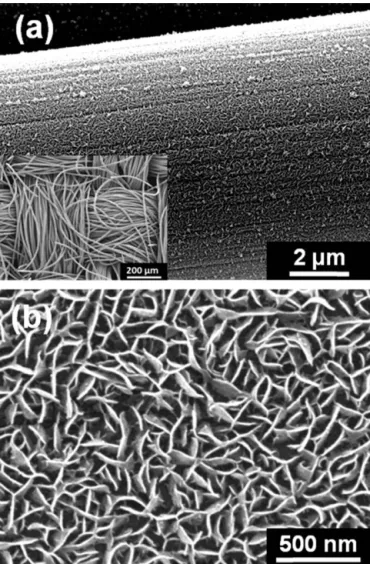 Fig. 1. SEM images of (a) the as-deposited PdO nanoﬂakes on a carbon ﬁber selected