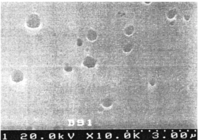 Figure 10 SEM micrographs of fractured surfaces of PIS9Siy films (BTDA/m-BAPS based) with the “y” value equal to: (a) 0.6%, (b) 1.7%, (c) 4.2%, (d) 6.1%, (e) 7.7%.