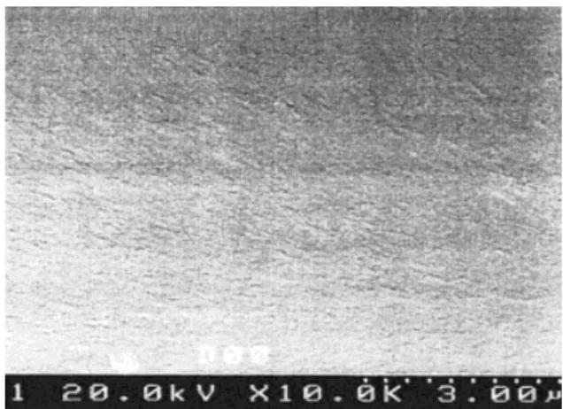 Figure 7 SEM micrograph of fractured surface of pristine BTDA/m-BAPS polyimide (unmodified).