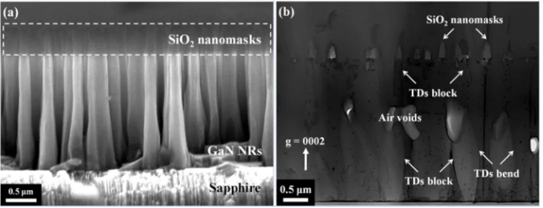 FIG. 1. Cross-sectional (a) SEM image of GaN NRs template and (b) TEM image of the GaN epilayer overgrown on GaN NRs template.