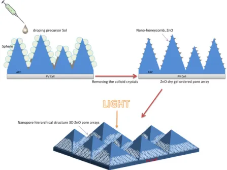Fig. 1. Schematics of the fabrication processes for the 3D nano-scale honeycomb structures on  micro-scale texture