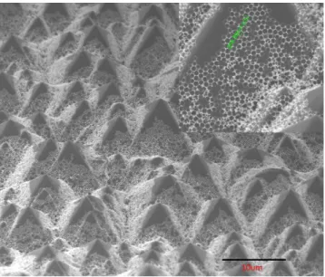 Fig.  2.  SEM  image  of  the  NHSL  on  the  textured  solar  cell  surface.  The  inset  shows  the  enlarged image