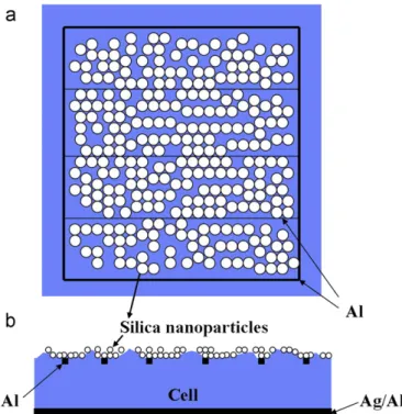 Fig. 2. SEM image of the self-assembled SNPs on the textured solar cell surface.