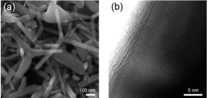 Fig. 1 (a) The FESEM images of the tetrapod-like ZnO nanopowder after screen-printing on FTO glass, (b) the FETEM image of an arm of tetrapod-like ZnO.