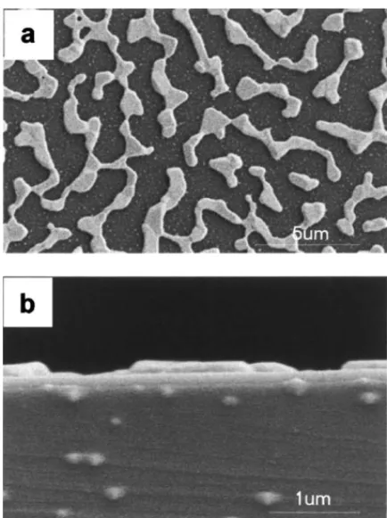 Fig. 2. SEM (a) surface and (b) cross-sectional image of Pt/Ti/SiO 2 /Si