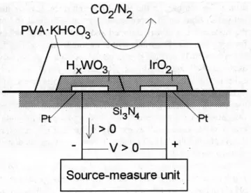 Fig. 1. Scheme showing the forward-biased diode based on the contact of WO 3 and IrO 2 on Si under CO 2 modulation.