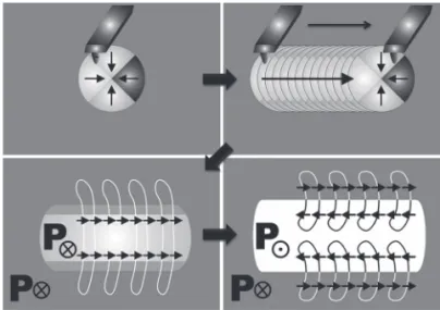 Figure  1 a and  1 g. The orientation of the T-R phase boundary  on the surface is mainly along [100] or [010], with the relaxed 