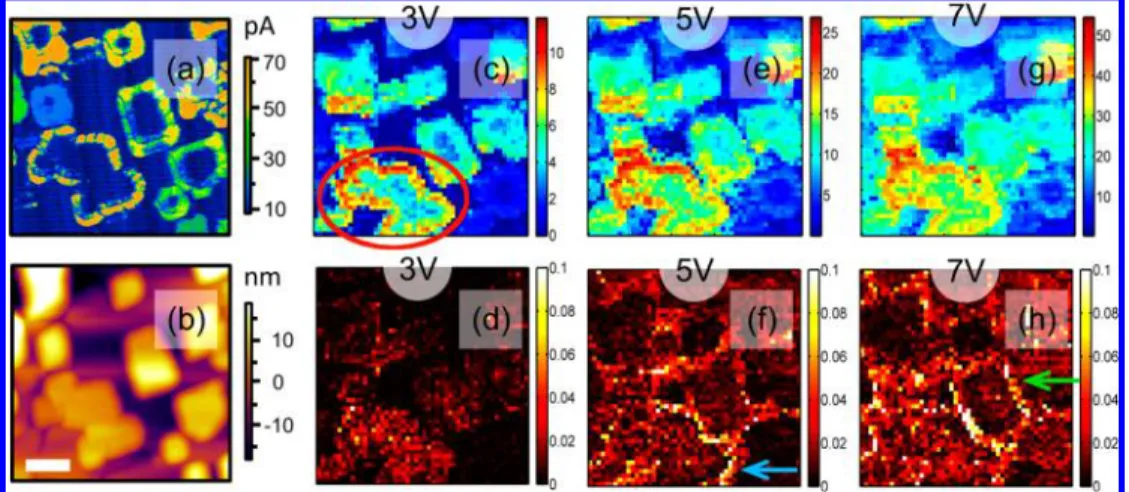 Figure 4. (a) C-AFM image of a selected region taken with 0.1 V applied to the tip and (b) corresponding topography image (scale bar is 100 nm); (c, e, g) current maps at peak biases 3, 5, and 7 V, respectively (scale in nA) plotted from the FORC-IV data c