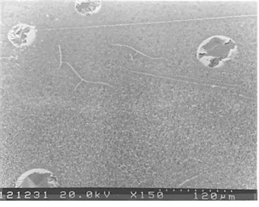 Figure 9. SEM micrographs of 450 8C annealed (a) TaN/PAE-2/Si (top view), (b) and (c) Ta/PAE-2/Si (top view), and (d) Ta/PAE-2/Si (oblique view)