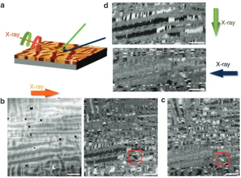 Figure 3 | Photoemission electron microscopy imaging of a mixed phase film. (a) schematic of geometry of the measurements