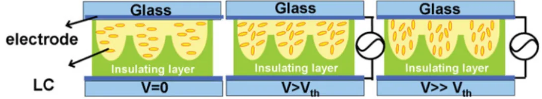 Figure 3. Typical LC lenses with spatially inhomogeneous refractive indices and a spatially inho-