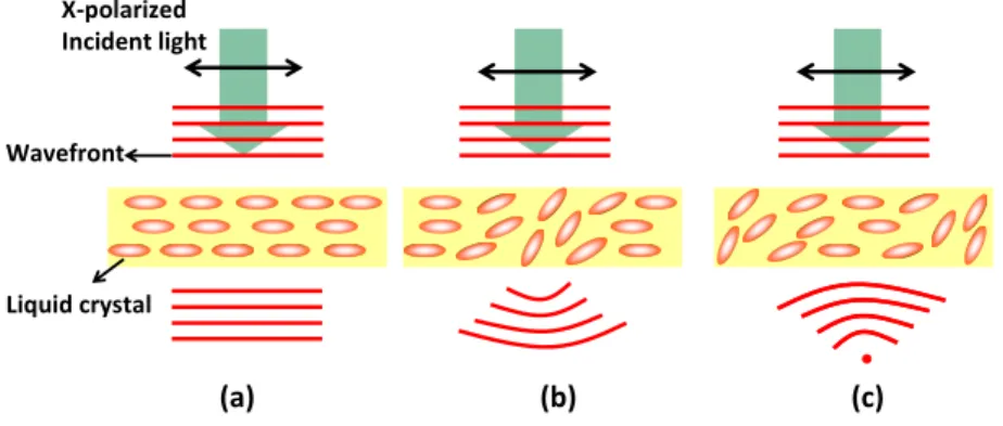 Figure 2: The operating principle of gradient index (GRIN) LC lens with a homogeneous cell gap