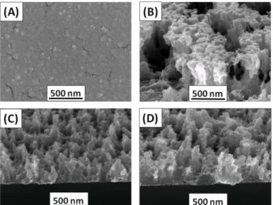 Figure 1. (A) plane-view SEM image of the metallic nickel thin film of 700 nm thickness, 