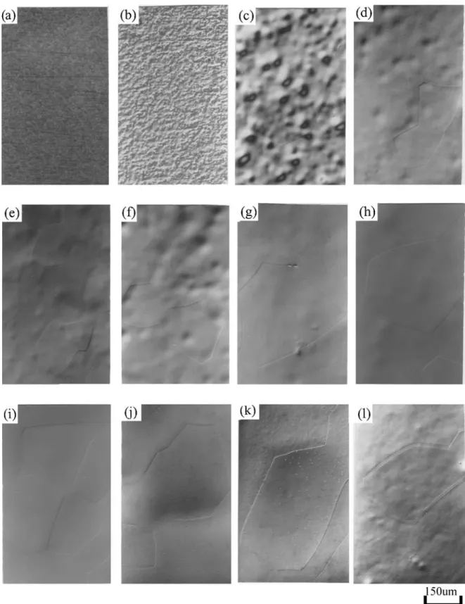 Figure 2 The optical micrographs of electro-polishing progress from 1 to 21 minutes on the titanium surface; (a) original titanium surface; (b)–(h)
