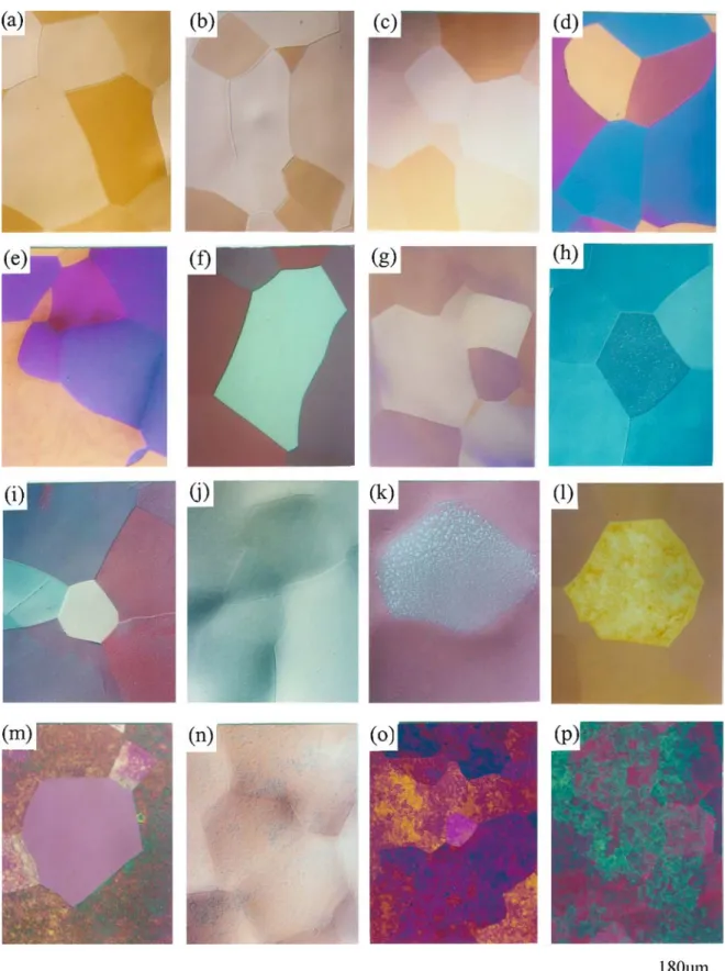 Figure 3 The optical micrographs of anodizing on the surface of titanium at different voltages; the films are porous-like when the applied voltage