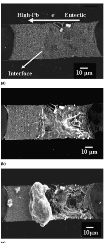 FIG. 6. SEM images of sample 4: (a) before stressing, SE image; (b) after 10-h stressing, SE image; (c) BSE image photographed after 30-h stressing to show the dramatic evolution of the phase distribution; and (d) the averaging Pb concentration profile mea