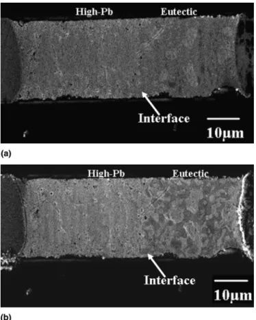 FIG. 7. Enlarged BSE SEM image of sample 4 at the eutectic and high-lead interface.