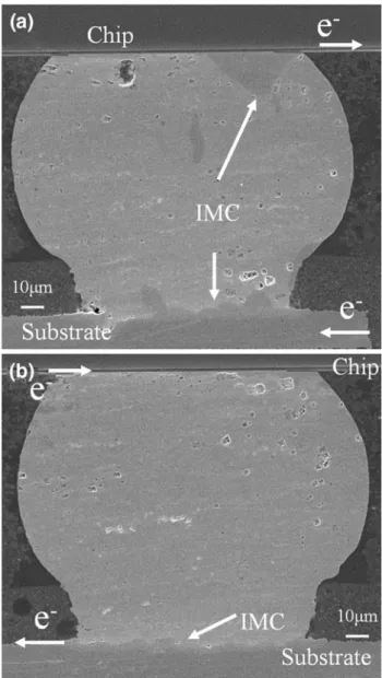 Fig. 3. SEM images of solder joints stressed with 0.8 A at 150°C for 552 h with (a) upward and (b) downward electron flow.