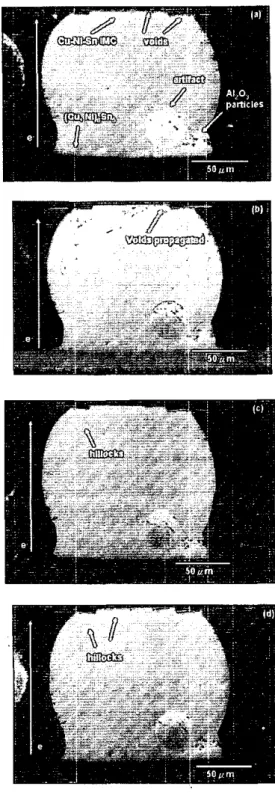 Fig.  2(a)  through  2(e)  illustrate  the  electromigration  phenomenon  in  SnAg,.&amp;uo7 solder  hump  before  and  after  stressing  for  20,  70,  110,  168  hours,  respectively