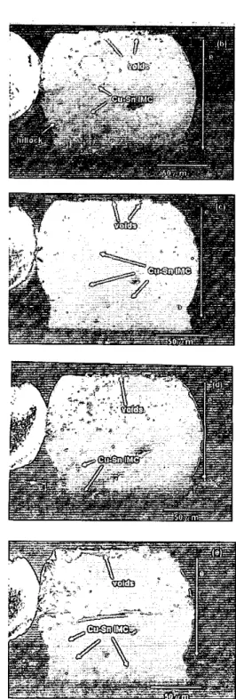 Fig.  2.  Cross-sectional  SEM  images  of  the  solder  bump  under the current density  of  2 x  IO'  A/cmz at  100  "C  (a) Ohr,  (b) 20hrs, (c) 70hrs, (d)  IlOhrs, and (e) 168hrs 