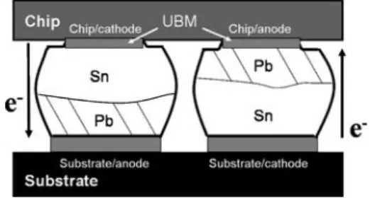 Fig. 8 Diffusion of atoms in solder bumps due to EM and TM forces for: (a) Pb-containing solder bumps; (b) Pb-free solder bumps