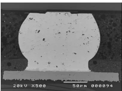 Fig. 6. The cross-sectional SEM images of Bump 1 after current stressing with current density of 2   10 4 A/cm 2 at 150°C: (a) complete cross