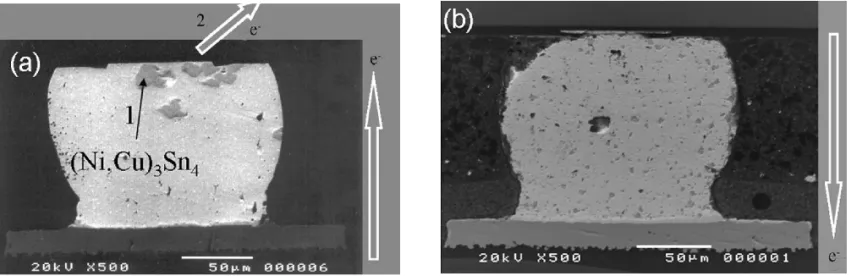Fig. 9. The enlarged cross-sectional SEM images of the entire flip chip package after current stressing with current density of 1   10 4 A/cm 2 at