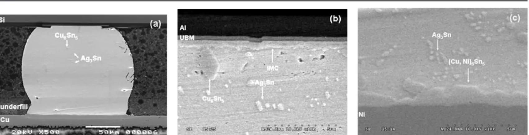 Fig. 3. The cross-sectional SEM images of a solder bump before current stressing: (a) whole bump view, (b) enlarged image on the chip side, and (c) enlarged image on the board side.