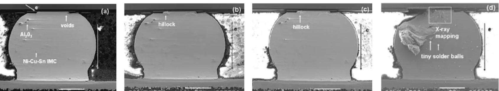 Fig. 4. The cross-sectional SEM images of the solder bump stressed at 100°C for (a) 0 h, (b) 20 h, (c) 264 h, and (d) 408 h.