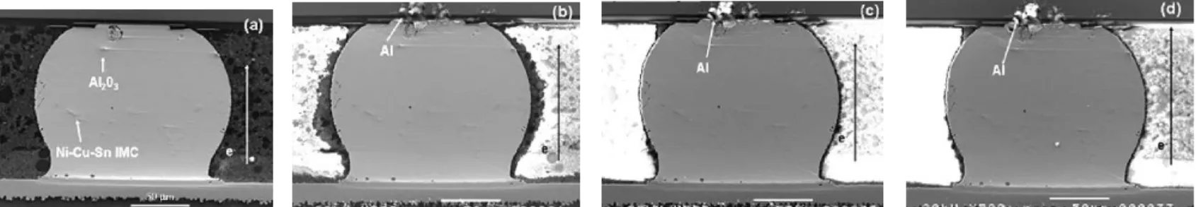 Figure 9 shows the cross-sectional SEM image of the solder bump along cross-sectioned plane B