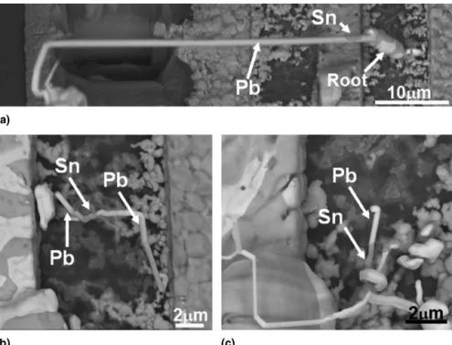 FIG. 3. Various morphologies of composite whiskers grown by current stressing: (a) Pb whisker with an Sn island; (b, c) Sn –Pb composite