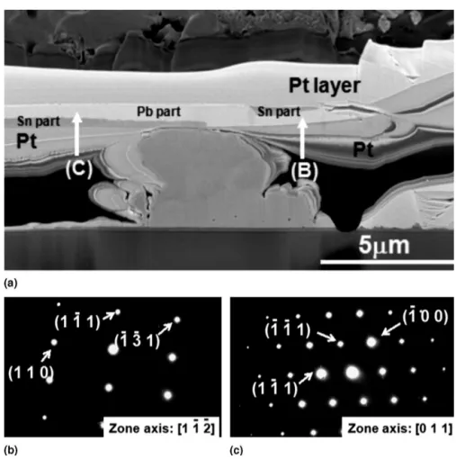 FIG. 6. (a) The FIB electron image of the whisker in Fig. 3(a). The whisker was cut to approximate its center for preparation of the TEM specimen