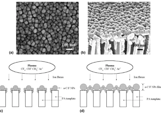 Fig. 1. FESEM image of the a-C:F NPs ﬁlms, showing: (a) surface morphology and (b) the cross-sectional view