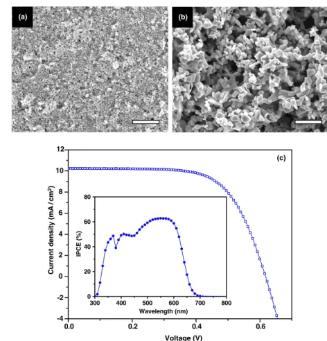 Figure 6. (a) FESEM image of non-aggregated primary ZnO nanocrystallites (size 8–10 nm) from grinding the original ZnO secondary nanoparticles; scale bar, 1 μm
